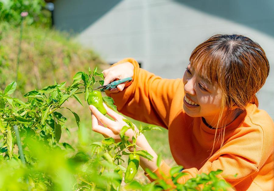 分享创意住宿阿多诺安乡村民宿 武雄 外观 照片