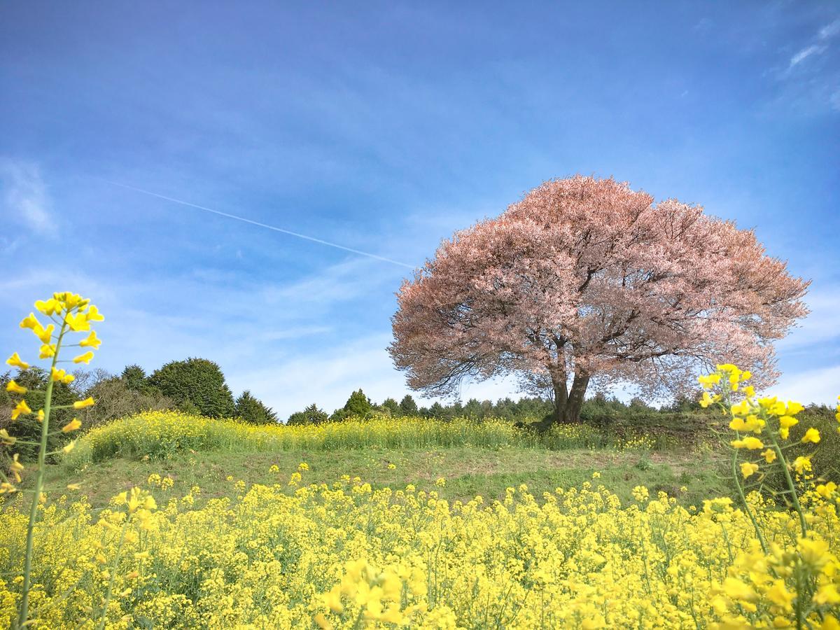分享创意住宿阿多诺安乡村民宿 武雄 外观 照片