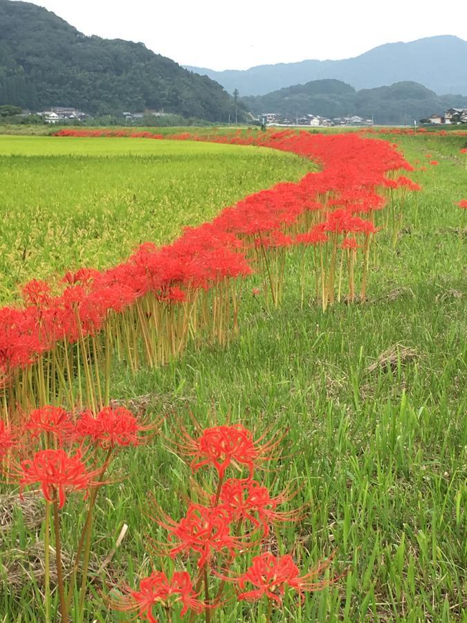 分享创意住宿阿多诺安乡村民宿 武雄 外观 照片